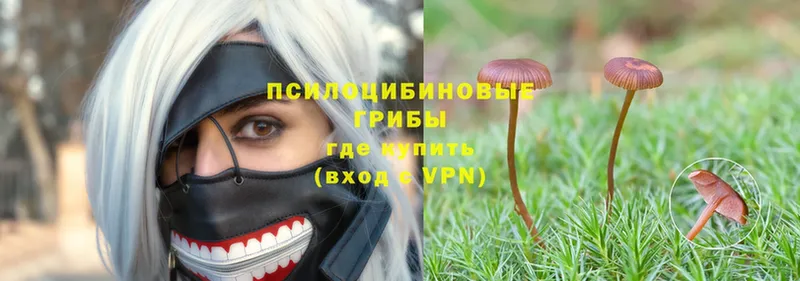 Виды наркоты Аша Метадон  Меф мяу мяу  Кокаин  Alpha PVP 